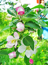 Similar image 10048714