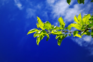 Similar image 10048719