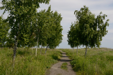 Similar image 10048766