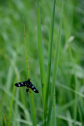 Similar image 10048770