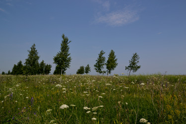 Similar image 10048773