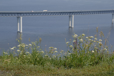 Similar image 10048774