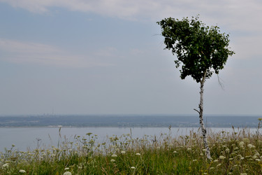 Similar image 10048794