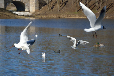 Similar image 10048795