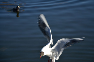 Similar image 10048796