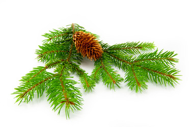 Similar image 10048806