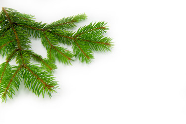 Similar image 10048807