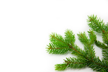 Similar image 10048808