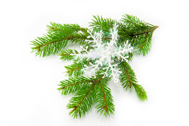 Similar image 10048809