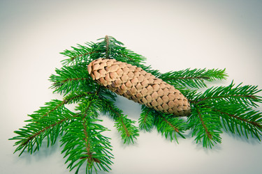 Similar image 10048811