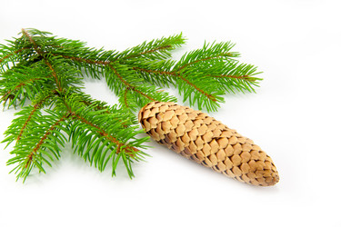 Similar image 10048812