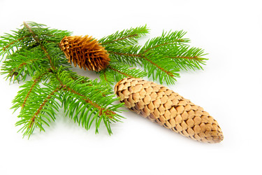 Similar image 10048813