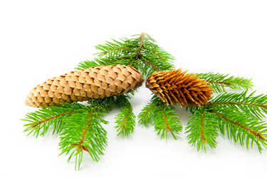 Similar image 10048814