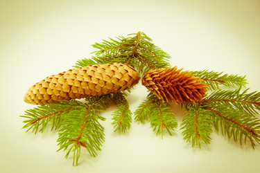 Similar image 10048815