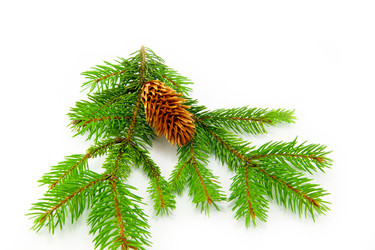 Similar image 10048816