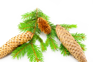 Similar image 10048826