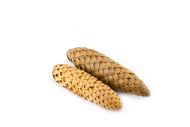 Similar image 10048828