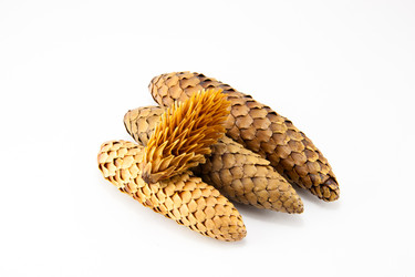 Similar image 10048830