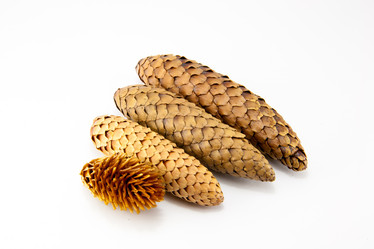 Similar image 10048831