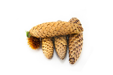 Similar image 10048833