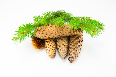 Similar image 10048834