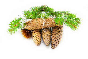 Similar image 10048835