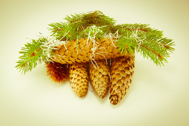 Similar image 10048836