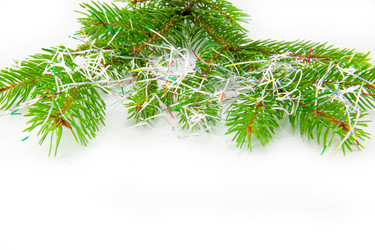 Similar image 10048842