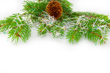 Similar image 10048843