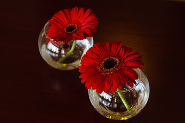 Similar image 10048846