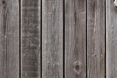 Similar image 10048871