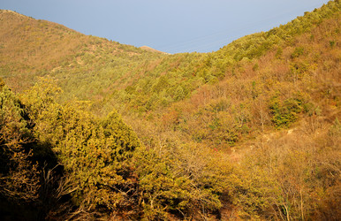 Similar image 10048885