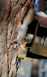 Similar image 10048887