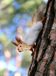 Similar image 10048890