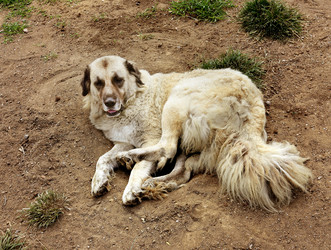 Similar image 10048897