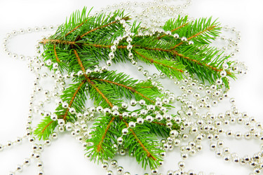 Similar image 10048923