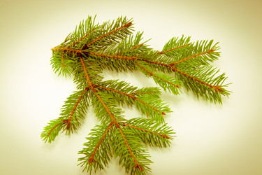 Similar image 10048925