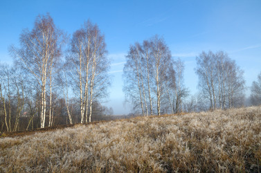 Similar image 10048955