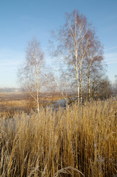 Similar image 10048956