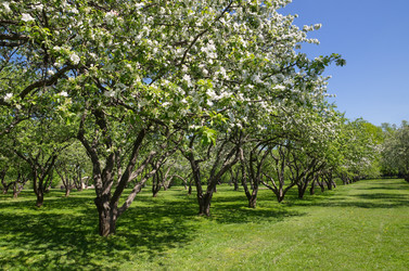 Similar image 10048958