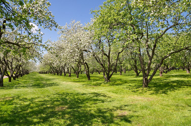 Similar image 10048959