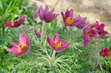 Similar image 10048962