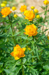 Similar image 10048963