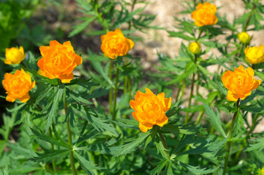 Similar image 10048964