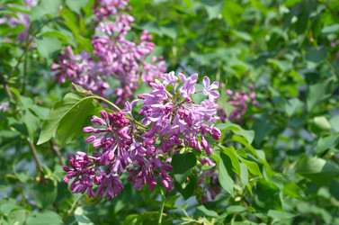 Similar image 10048976