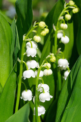 Similar image 10048977