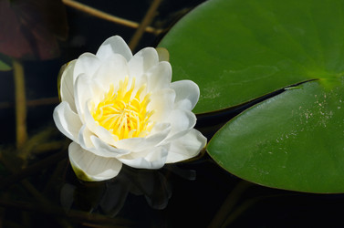 Similar image 10048980