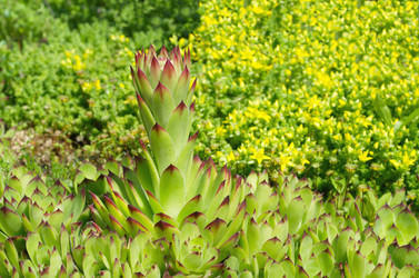 Similar image 10048983