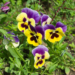 Similar image 10048986