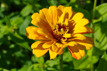 Similar image 10048988